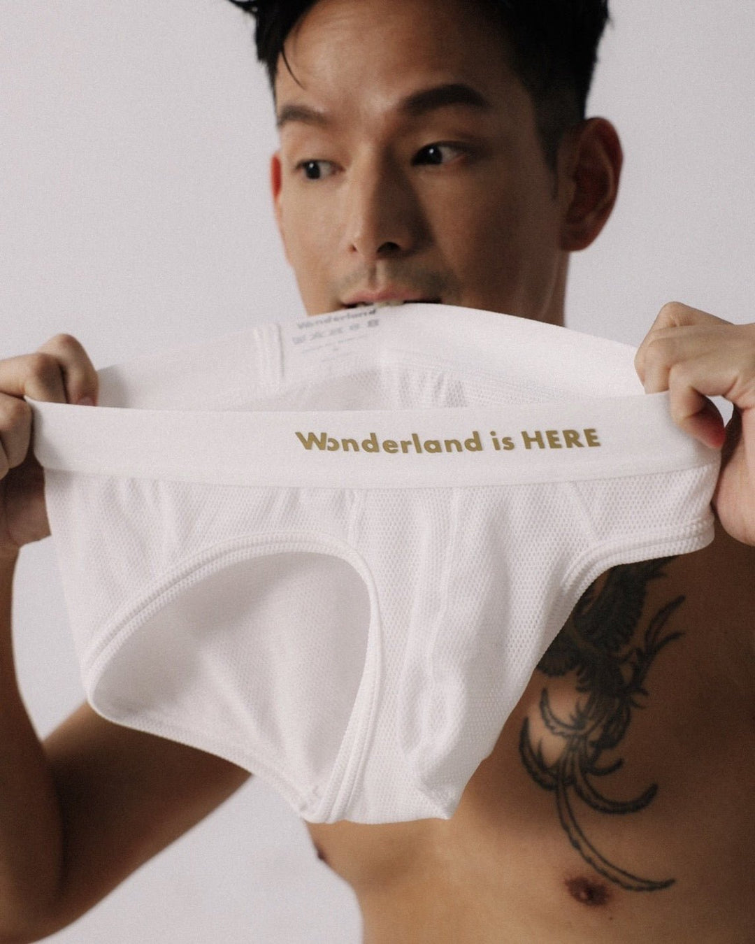 FormosaFantasy日本網眼三角褲【限量】 - Wonderland Underwear